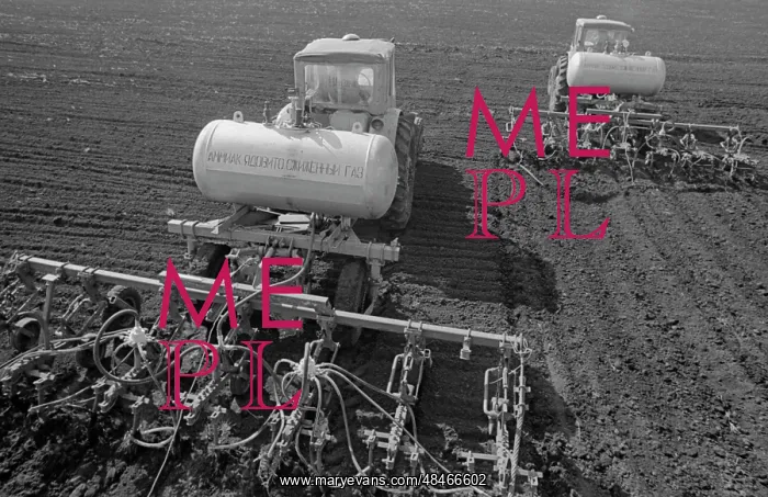 : Fertilizing : Fertilizing