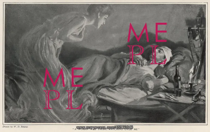  : Fever Hallucination