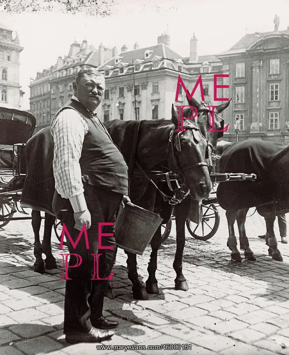  : Fiaker coachman feeding his horses