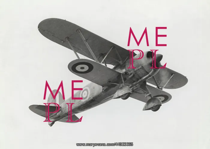 : Fiat CR-42 Falco : Fiat CR-42 Falco