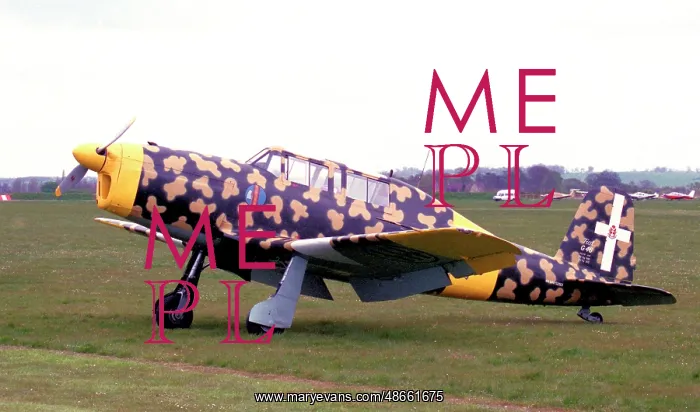 : Fiat G.46 G-BBII - MM52801 : Fiat G.46 G-BBII - MM52801