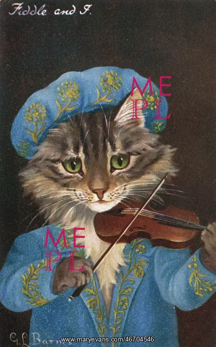  : Fiddle and I - a cat strikes up a tune on his violin