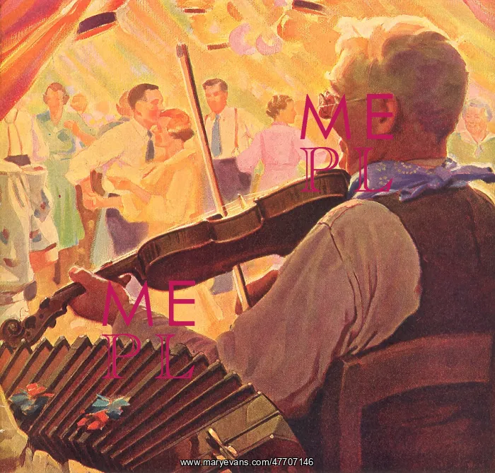  : Fiddle Player