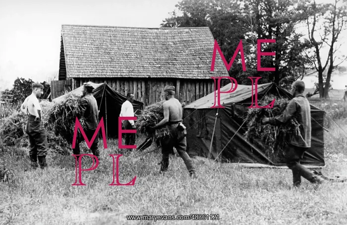  : Field Army Command of the Wehrmacht, 1941