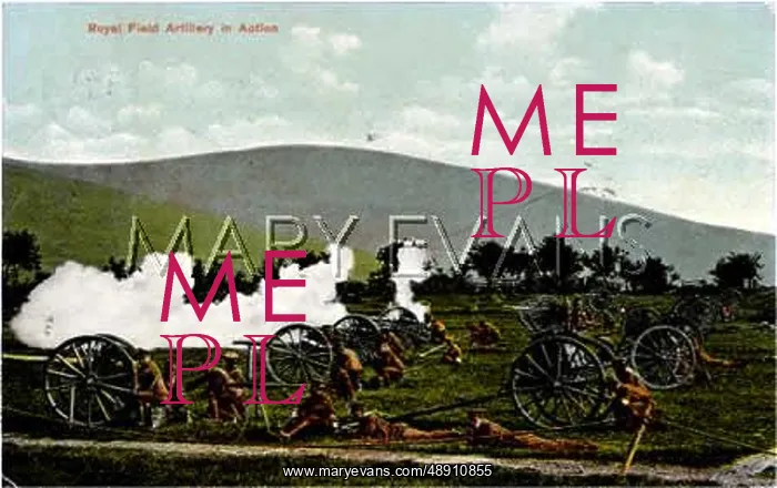 : FIELD ARTILLERY INACTION
