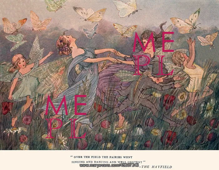 : Over the field the fairies went : Over the field the fairies went