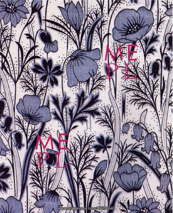  : Field Flowers