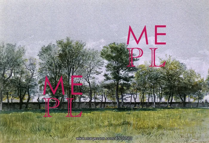  : Field of Grass and Trees