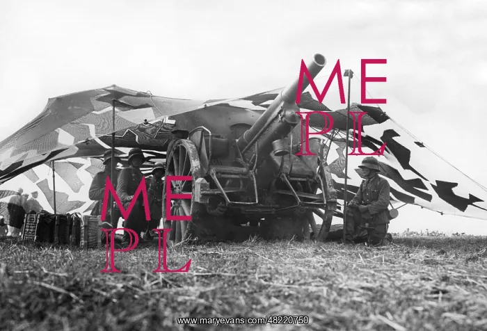 : Field howitzer in camouflaged position, 1936 : Field howitzer in camouflaged position, 1936