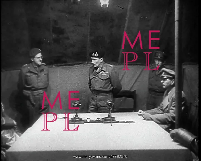 : Field Marshal Bernard Montgomery Receiving : Field Marshal Bernard Montgomery Receiving