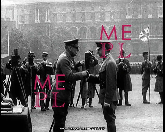 : Field Marshal Douglas Haig Presenting Medals : Field Marshal Douglas Haig Presenting Medals
