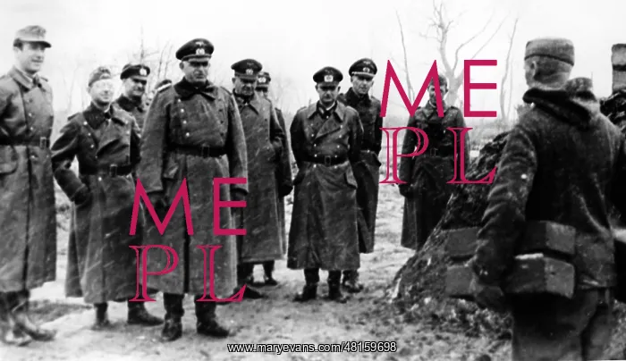: Field Marshal Ernst Busch : Field Marshal Ernst Busch