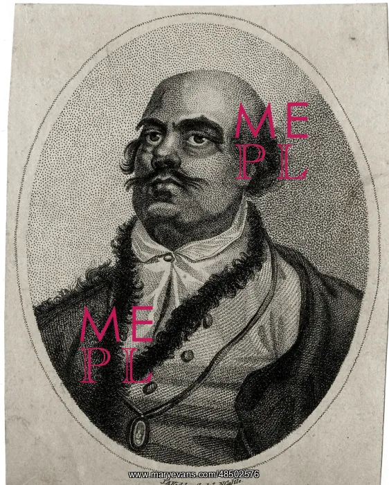 : Field Marshal General Suwarrow : Field Marshal General Suwarrow