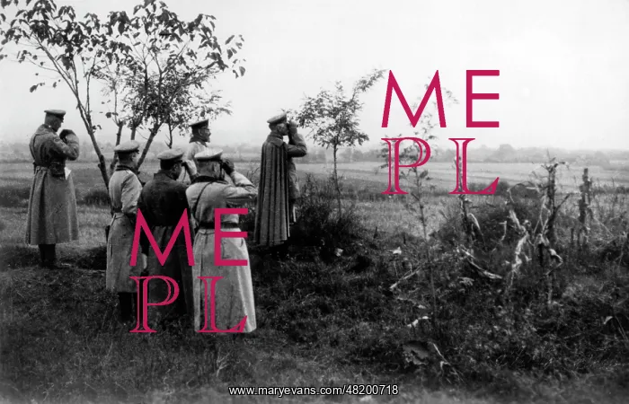 : Field Marshal observes troops, 1915 : Field Marshal observes troops, 1915