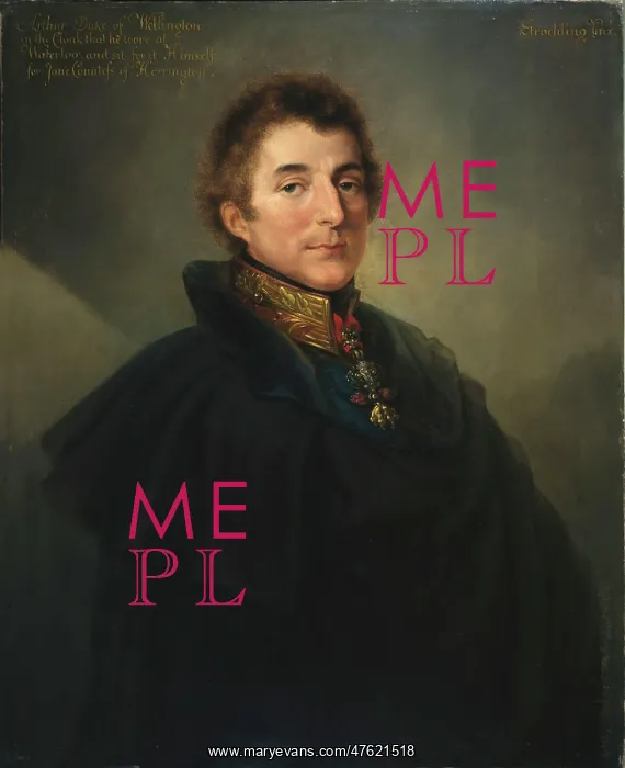 : Field Marshal Sir Arthur Wellesley, Duke of Wellington : Field Marshal Sir Arthur Wellesley, Duke of Wellington