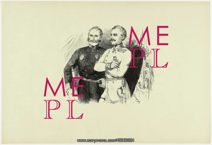 : Field-Marshal Wimpffen : Field-Marshal Wimpffen