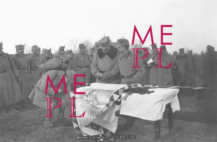 : Field Marshall Roth presents flags to an Austrian territoria : Field Marshall Roth presents flags to an Austrian territoria