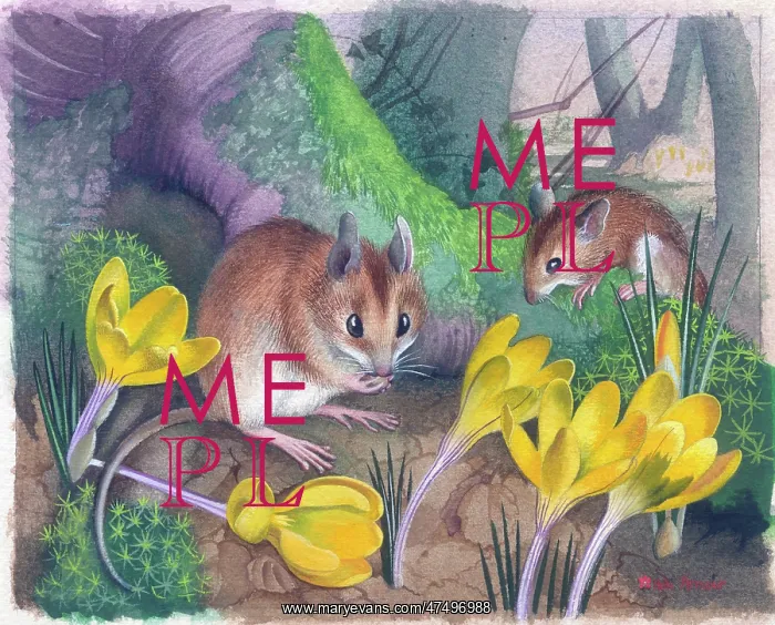  : Two Field Mice with Crocuses