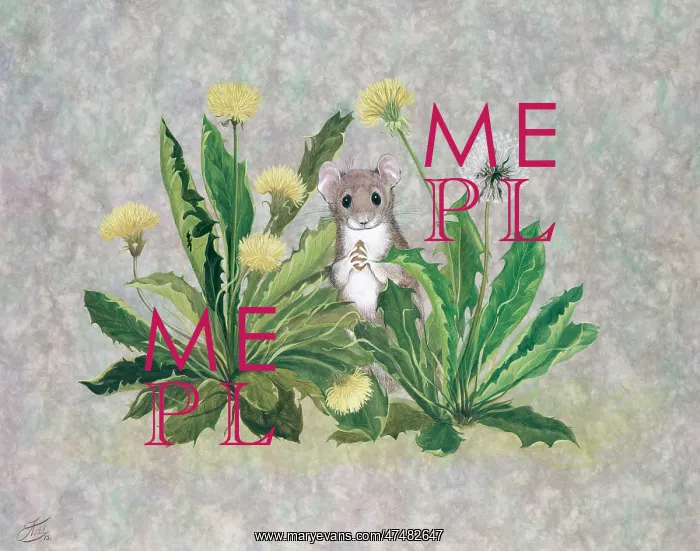 : Field mouse with dandelions : Field mouse with dandelions