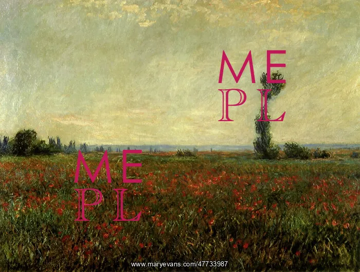  : Field of Poppies, by Monet