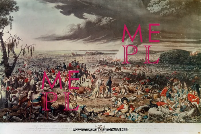 : The Field of Waterloo the Morning after the Battle : The Field of Waterloo the Morning after the Battle