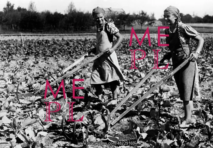 : Field workers of the BDM, 1940 : Field workers of the BDM, 1940