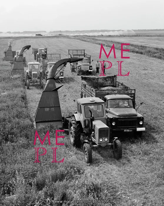 : Field works : Field works