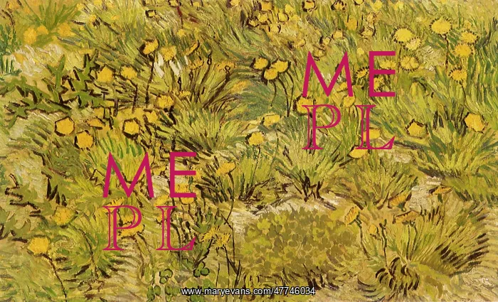 : A Field of Yellow Flowers, by Van Gogh : A Field of Yellow Flowers, by Van Gogh