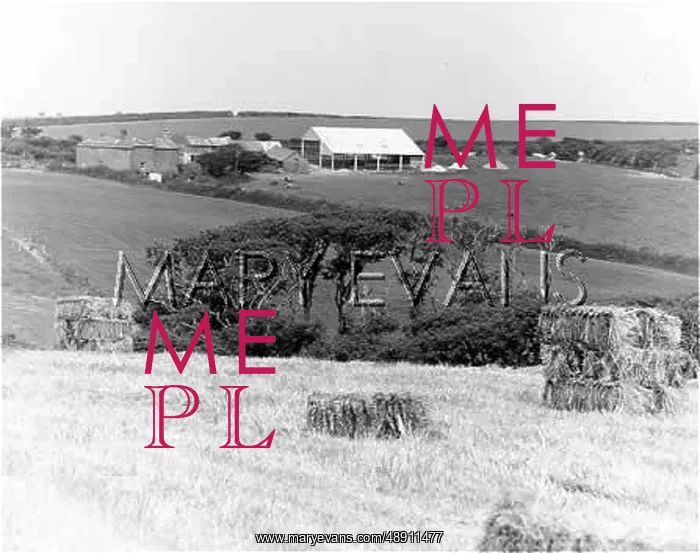 : FIELDS. A view of a farm, showing the farm buildings in the background : FIELDS. A view of a farm, showing the farm buildings in the background