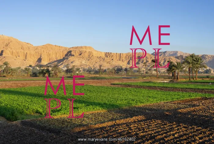 : Fields, Al Qarnah, Luxor, Egypt : Fields, Al Qarnah, Luxor, Egypt