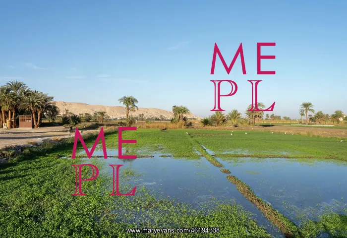 : Fields, Al Qarnah, Luxor, Egypt : Fields, Al Qarnah, Luxor, Egypt