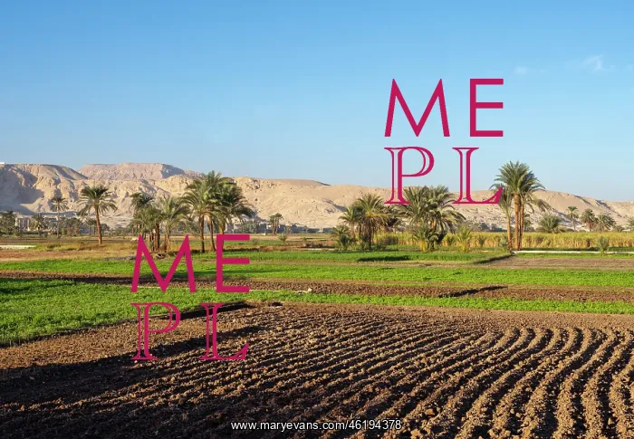 : Fields, Al Qarnah, Luxor, Egypt : Fields, Al Qarnah, Luxor, Egypt