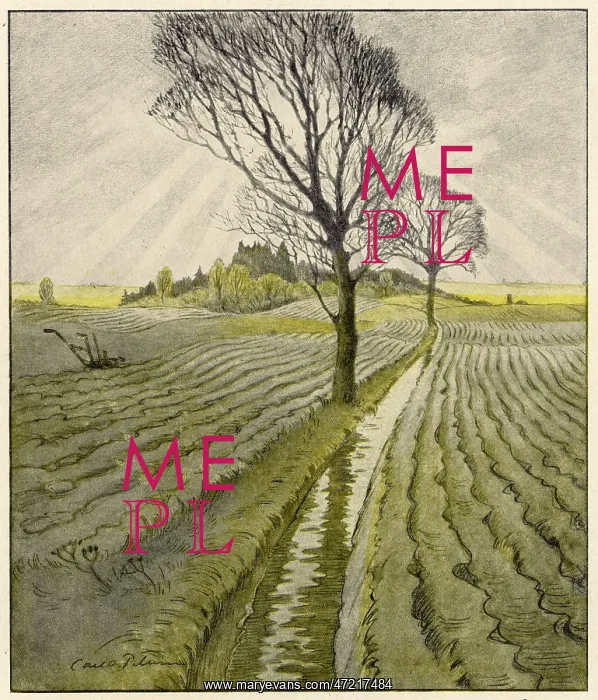  : FIELDS IN AUTUMN
