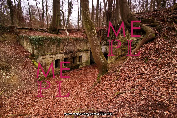  : Fields of Battle - Aisne