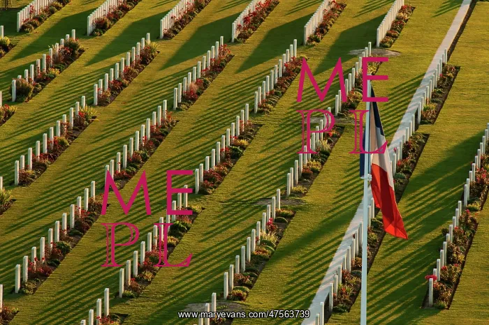 : Fields of Battle - Amiens : Fields of Battle - Amiens