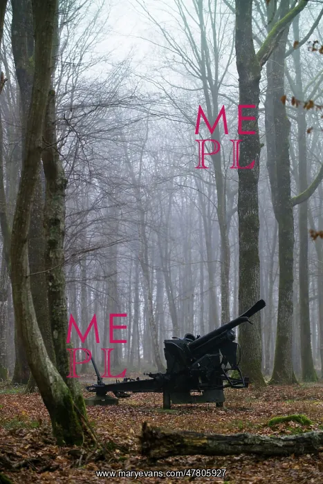 : Fields of Battle, Lands of Peace - Belleau Wood : Fields of Battle, Lands of Peace - Belleau Wood