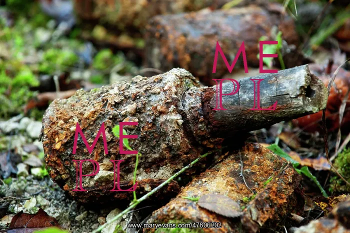 : Fields of Battle, Lands of Peace - German grenade : Fields of Battle, Lands of Peace - German grenade
