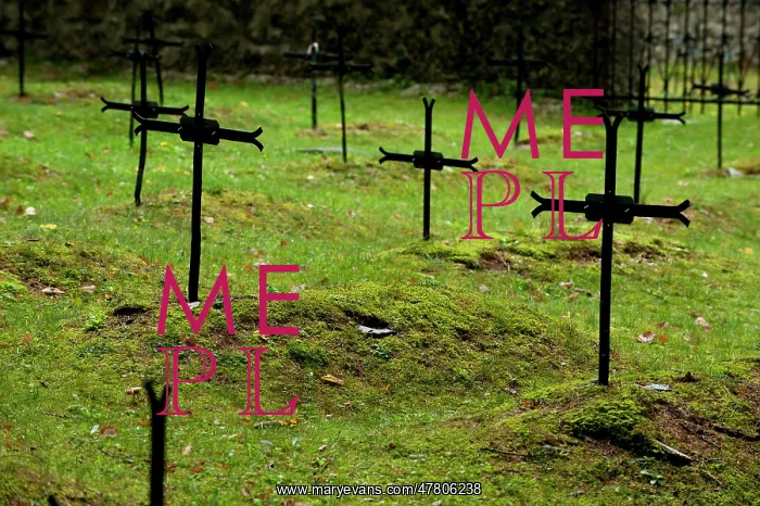  : Fields of Battle, Lands of Peace - Log Pog Mangartom