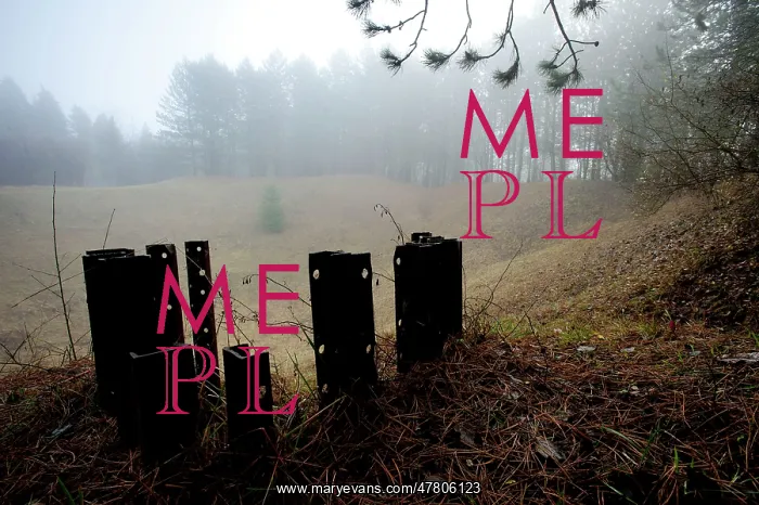 : Fields of Battle, Lands of Peace - St. Mihie, Les Eparges : Fields of Battle, Lands of Peace - St. Mihie, Les Eparges
