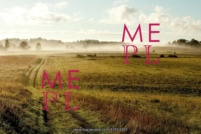 : Fields of Battle - Masurian Lakes : Fields of Battle - Masurian Lakes