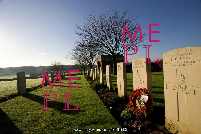 : Fields of Battle - Messines : Fields of Battle - Messines