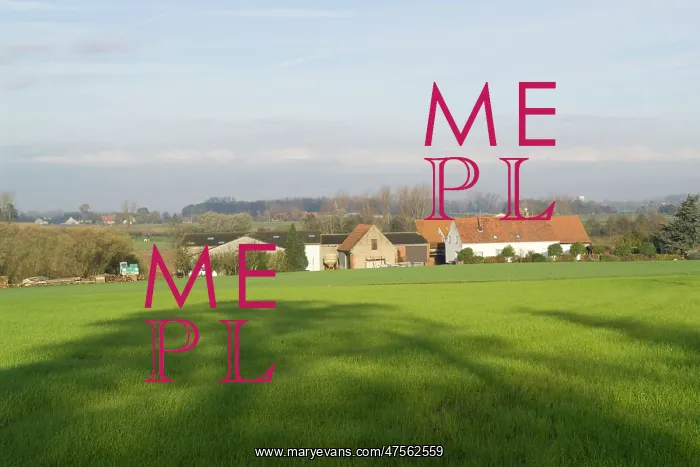: Fields of Battle - Messines : Fields of Battle - Messines