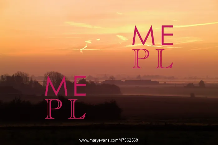 : Fields of Battle - Messines : Fields of Battle - Messines