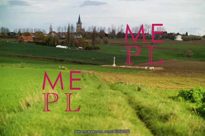 : Fields of Battle - Messines : Fields of Battle - Messines