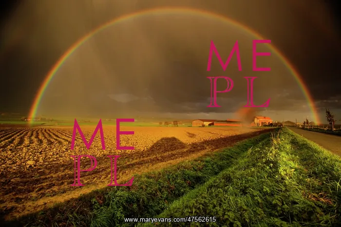 : Fields of Battle - Messines : Fields of Battle - Messines
