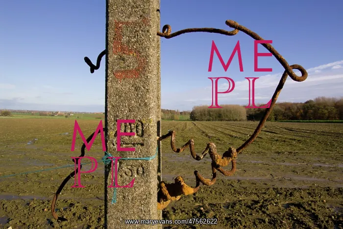 : Fields of Battle - Messines : Fields of Battle - Messines