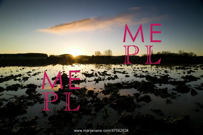 : Fields of Battle - Messines : Fields of Battle - Messines