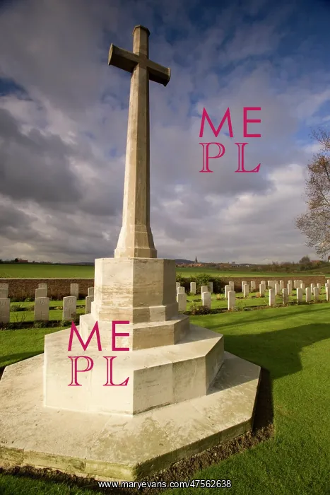 : Fields of Battle - Messines : Fields of Battle - Messines