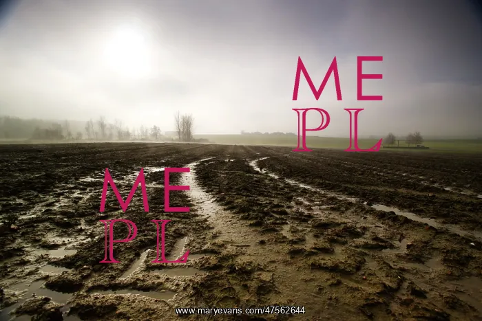 : Fields of Battle - Messines : Fields of Battle - Messines