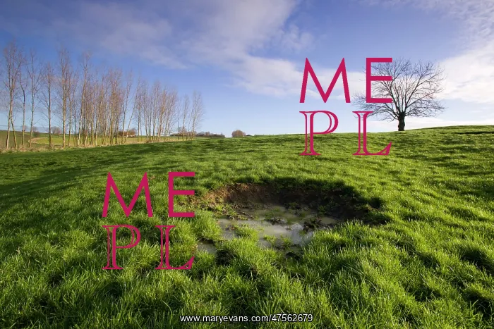 : Fields of Battle - Messines : Fields of Battle - Messines